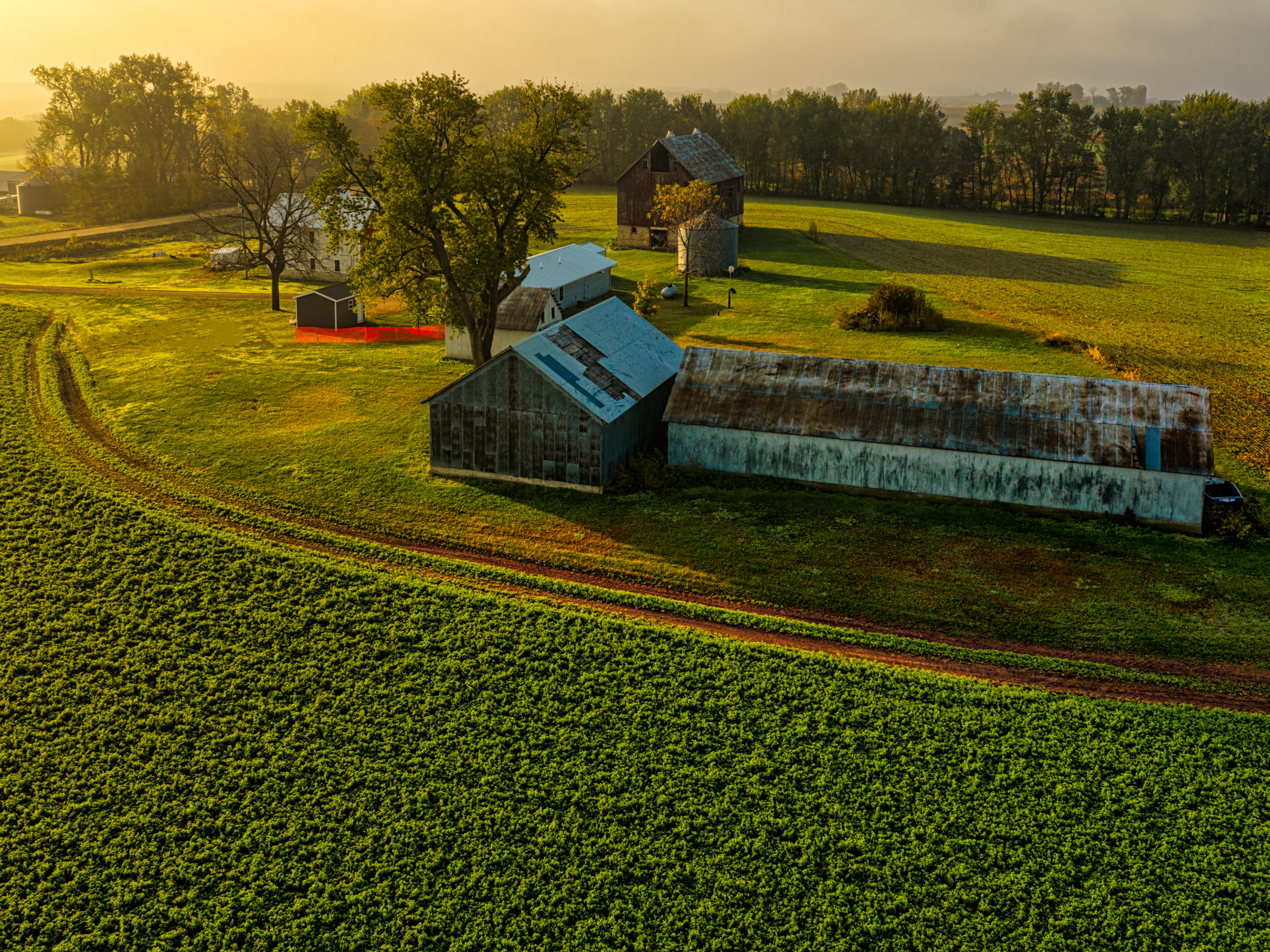 Safeguarding the Future of British Farming 