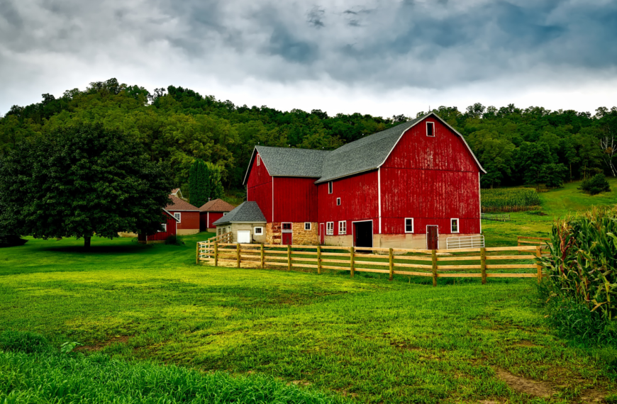 A Stitch in Time: Seven Steps to Outsmart the Farmyard Thief  