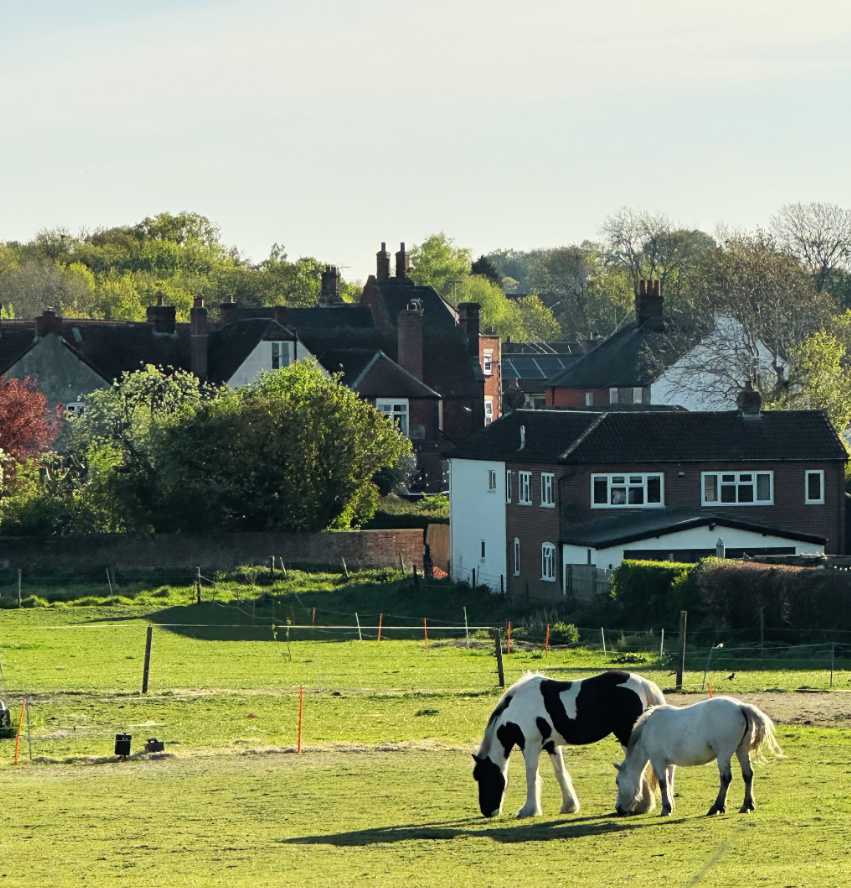 Episode 21: From Farm Gate to Firewall