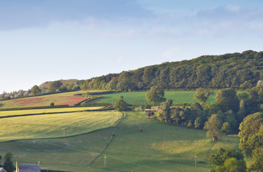Not Opportunists, But Entrepreneurs: Inside the Business of Rural Crime with Dr Kate Tudor 