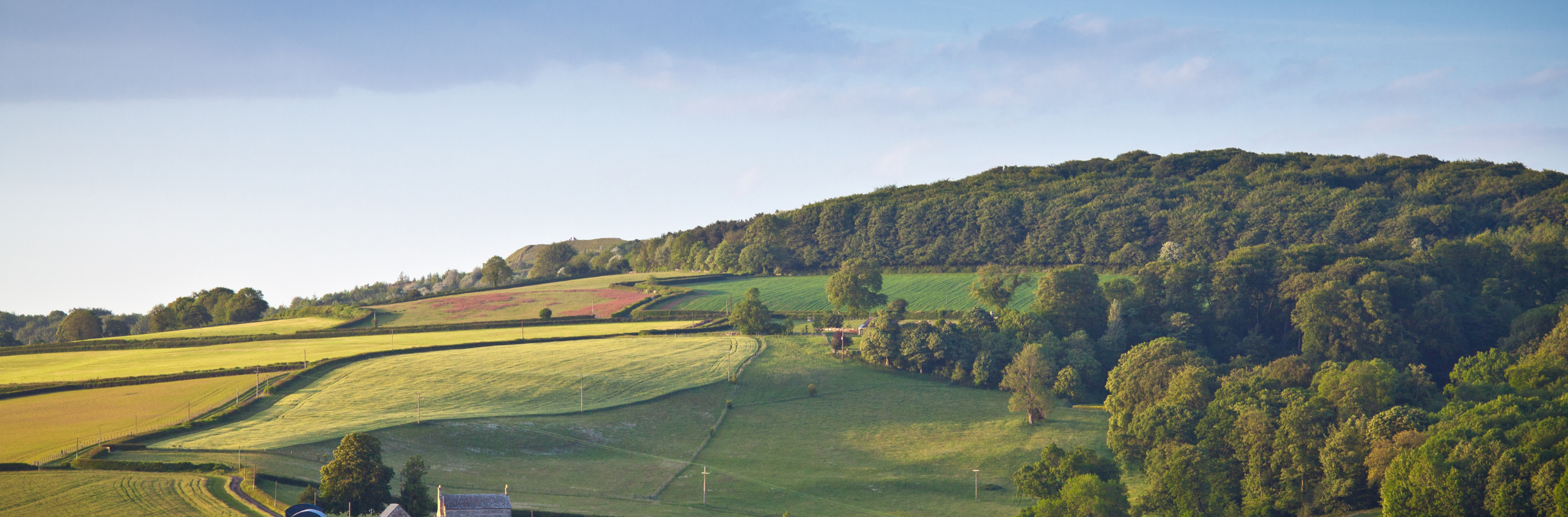 Not Opportunists, But Entrepreneurs: Inside the Business of Rural Crime with Dr Kate Tudor